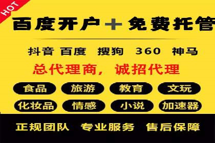 精准投放，高效转化——SEM竞价优化案例集